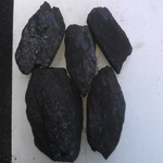 Housecoal Nuts